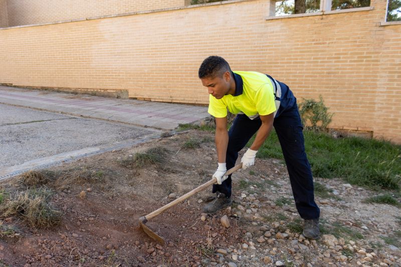 Local Land Clearing And Grading pros at work