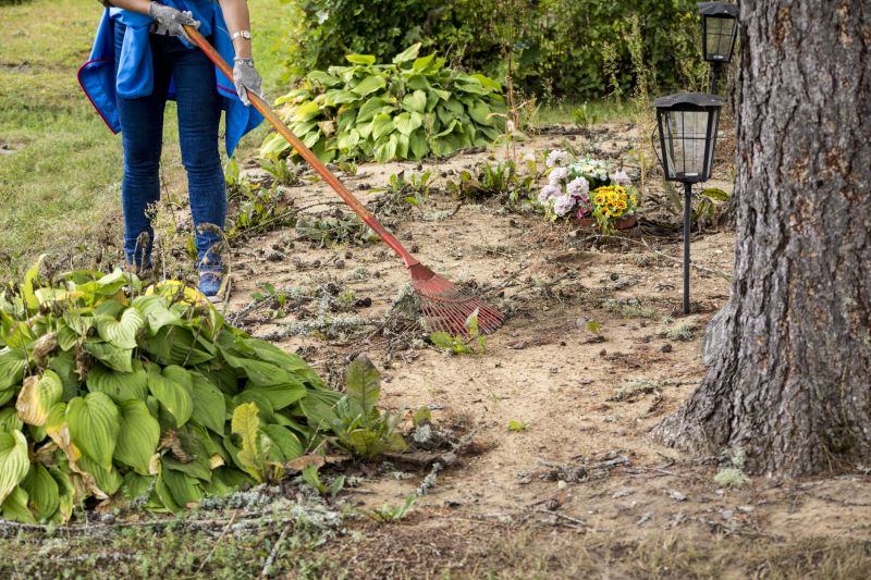 Land Clearing And Grading
