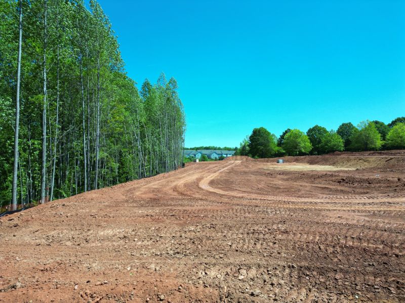 Land Clearing And Grading detail